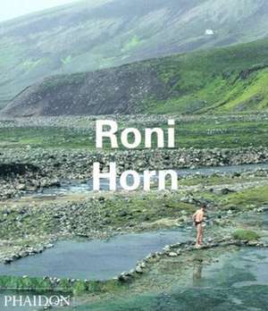 Roni Horn: The City and Its Architecture de Lynne Cooke