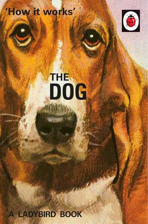 How it Works: The Dog de Jason Hazeley