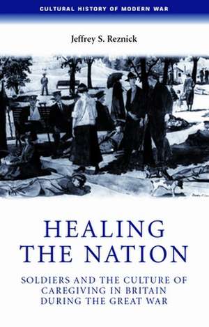 Healing the Nation de Jeffrey S. Reznick