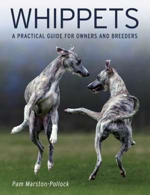 Whippets de Pam Marston-Pollock