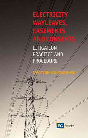 Electricity Wayleaves, Easements and Consents de Charles Hamer