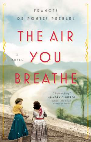 The Air You Breathe: A Novel de Frances de Pontes Peebles