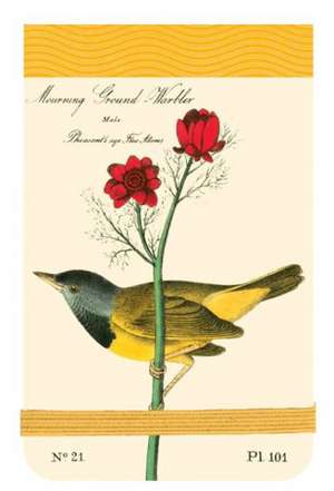 Audubon Warblers Mini Journal de Galison