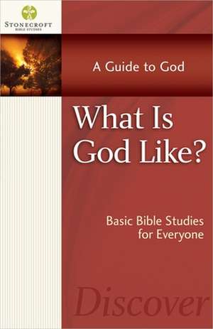 What Is God Like? de Inc Stonecroft Ministries