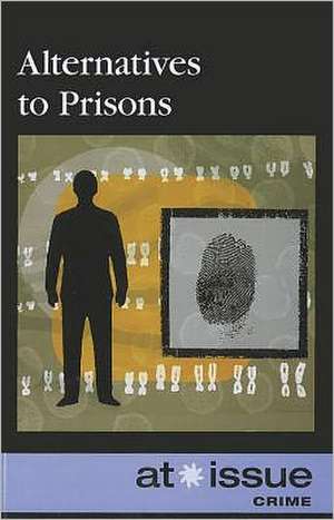 Alternatives to Prisons de Ronald D. Jr. Lankford