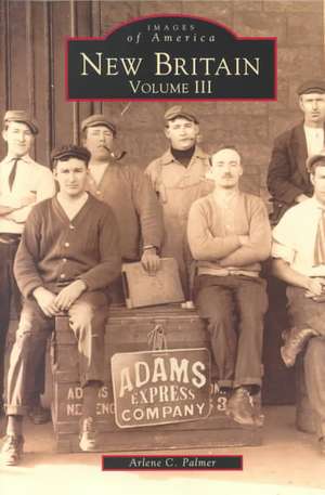 New Britain, Volume 3 de Arlene C. Palmer