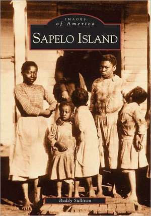 Sapelo Island de Buddy Sullivan