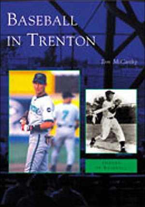 Baseball in Trenton de Tom Mccarthy