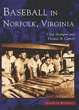 Baseball in Norfolk, Virginia de Clay Shampoe