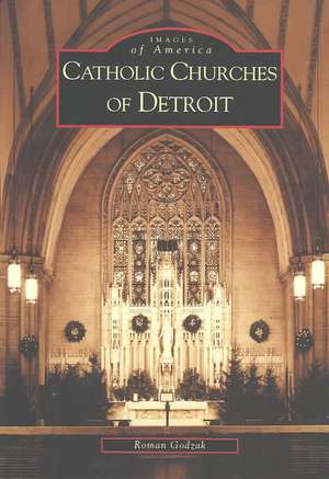 Catholic Churches of Detroit de Roman Godzak