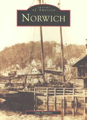 Norwich de Dale Plumer