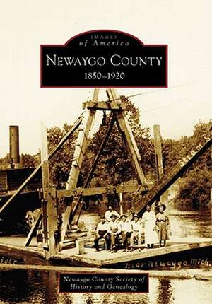 Newaygo County 1850-1920 de Newaygo County Society of History and Ge