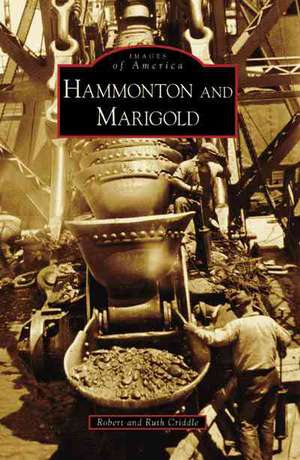 Hammonton and Marigold de Robert Criddle