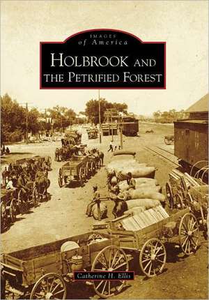 Holbrook and the Petrified Forest de Catherine H. Ellis