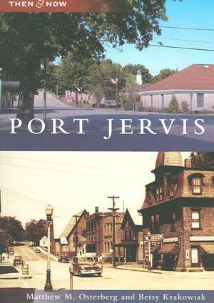 Port Jervis de Matthew M. Osterberg