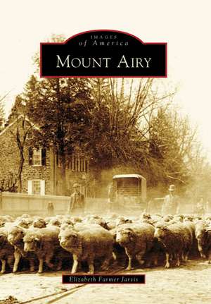 Mount Airy de Elizabeth Farmer Jarvis