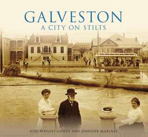 Galveston: A City on Stilts de Jodi Wright-Gidley