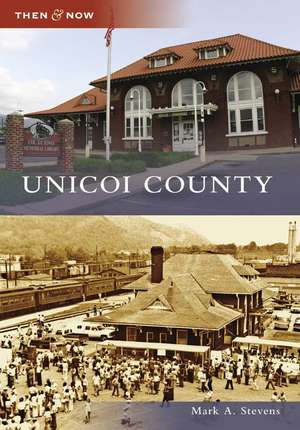 Unicoi County de Mark A. Stevens