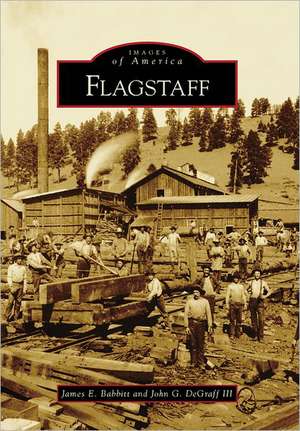 Flagstaff de James E. Babbitt