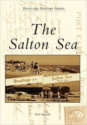 The Salton Sea de Karl Anderson