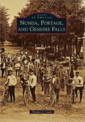 Nunda, Portage, and Genesee Falls de Thomas S. Cook