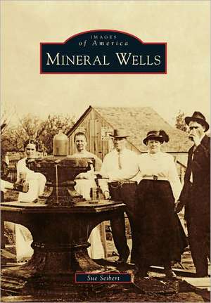 Mineral Wells de Sue Seibert