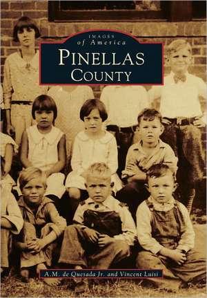 Pinellas County de Jr. de Quesada, A. M.