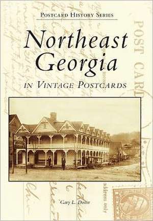 Northeast Georgia in Vintage Postcards de Gary L. Doster