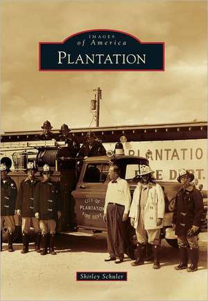 Plantation de Shirley Schuler