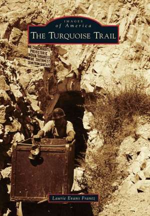 The Turquoise Trail de Laurie Evans Frantz