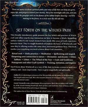 How to Become a Witch: The Path of Nature, Spirit & Magick de Amber K