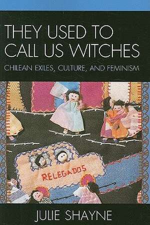 They Used to Call Us Witches de Julie D. Shayne