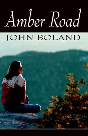 Amber Road de John Boland