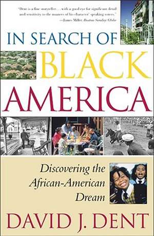 In Search of Black America de David Dent