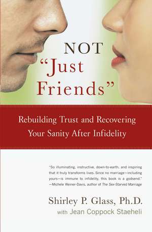 NOT "Just Friends": Rebuilding Trust and Recovering Your Sanity After Infidelity de Shirley Glass Ph.D.