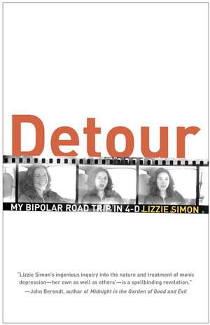 Detour: My Bipolar Road Trip in 4-D de Lizzie Simon