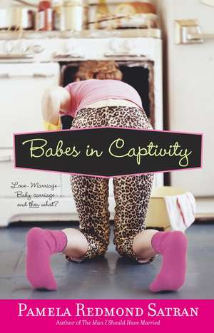 Babes in Captivity de Pamela Redmond Satran