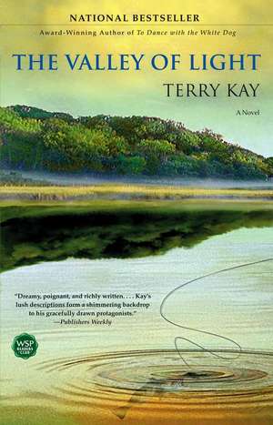 The Valley of Light de Terry Kay