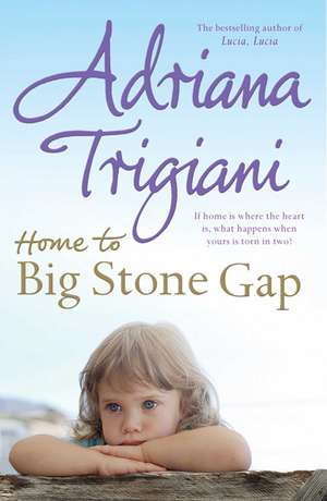 Home to Big Stone Gap de Adriana Trigiani