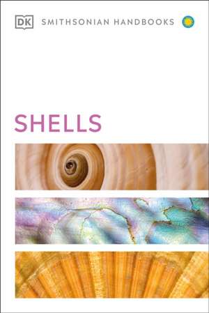 Shells de Dk