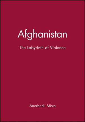 Afghanistan: The Labyrinth of Violence de Amalendu Misra