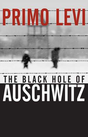 The Black Hole of Auschwitz de P. Levi