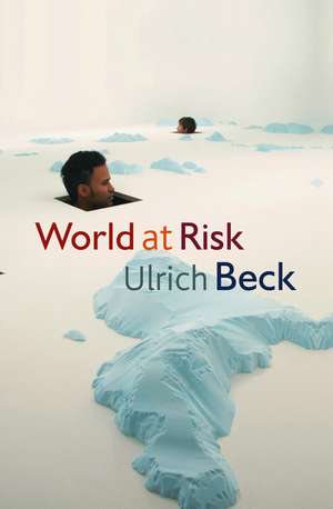 World At Risk de U Beck