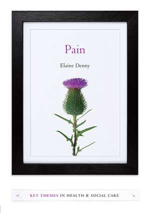 Pain – A Sociological Introduction de E Denny