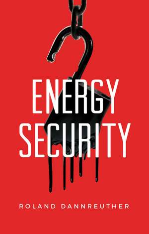 Energy Security de Roland Dannreuther