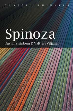 Spinoza de Steinberg