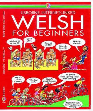 Welsh for Beginners de Angela Wilkes