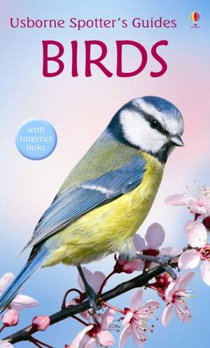 Birds de Peter Holden