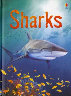 Sharks de Catriona Clarke