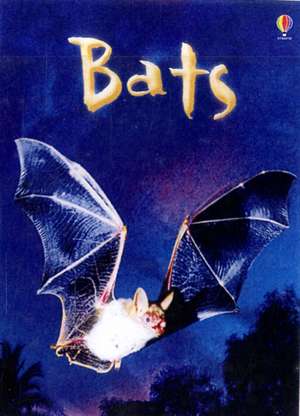 Bats de Megan Cullis